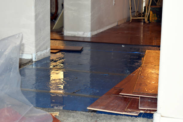Professional Water Damage Restoration technician working in Cambridge, ME